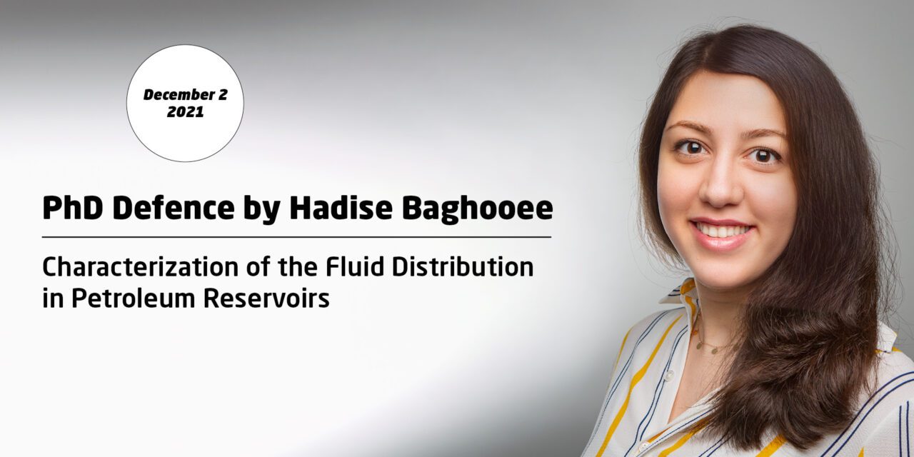 “Characterization of the Fluid Distribution in Petroleum Reservoirs”