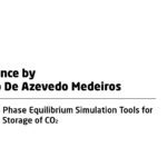 Chemical and Phase Equilibrium Simulation Tools for Underground Storage of CO2