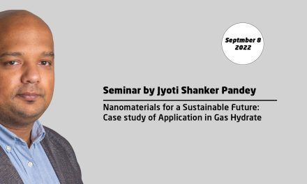 Nanomaterials for a Sustainable Future: Case study of Application in Gas Hydrate Science