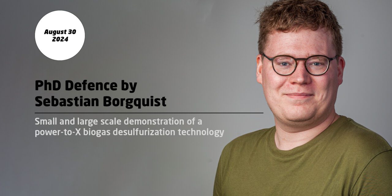 Small and large scale demonstration of a power-to-X biogas desulfurization technology