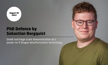 Small and large scale demonstration of a power-to-X biogas desulfurization technology