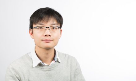 CO2 hydrate capsules as vessels for underground mechanical energy storage