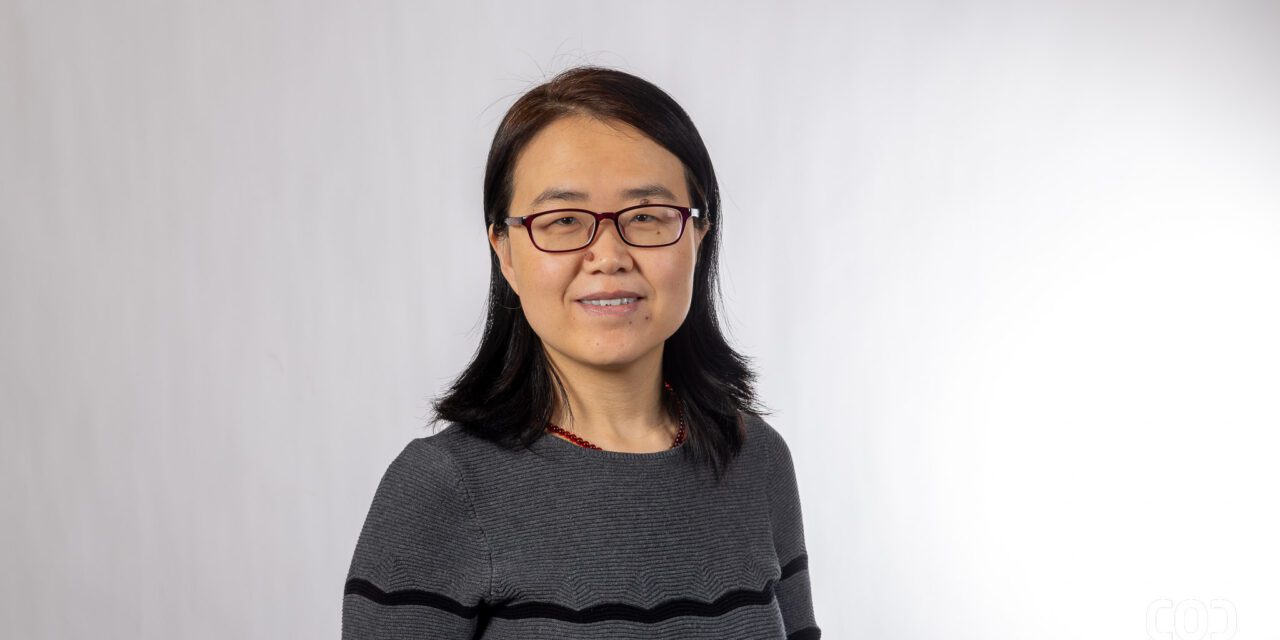 Investigation of salt precipitation under CO2-brine displacement in micromodels