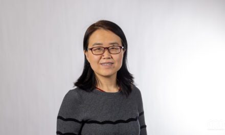 Investigation of salt precipitation under CO2-brine displacement in micromodels